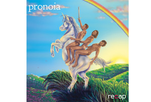 pronoia meaning
